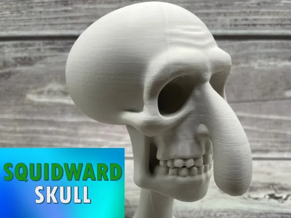 https://makerworld.bblmw.com/makerworld/model/US9829809c5d25a0/design/2025-08-12_8cbacafdf7d7d.jpg