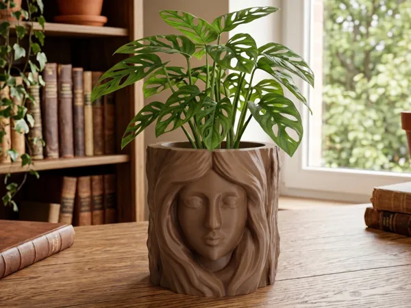 https://makerworld.bblmw.com/makerworld/model/US982cdcff66264/design/2df5d4d4ab847fd4.png