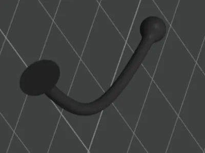 Insect antennae
