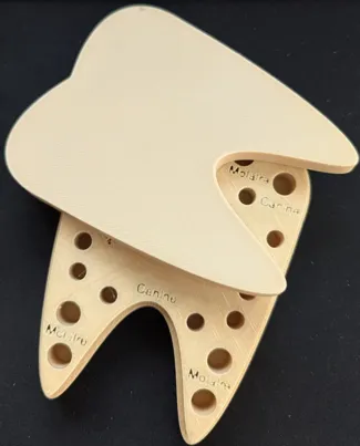 Boite à dents