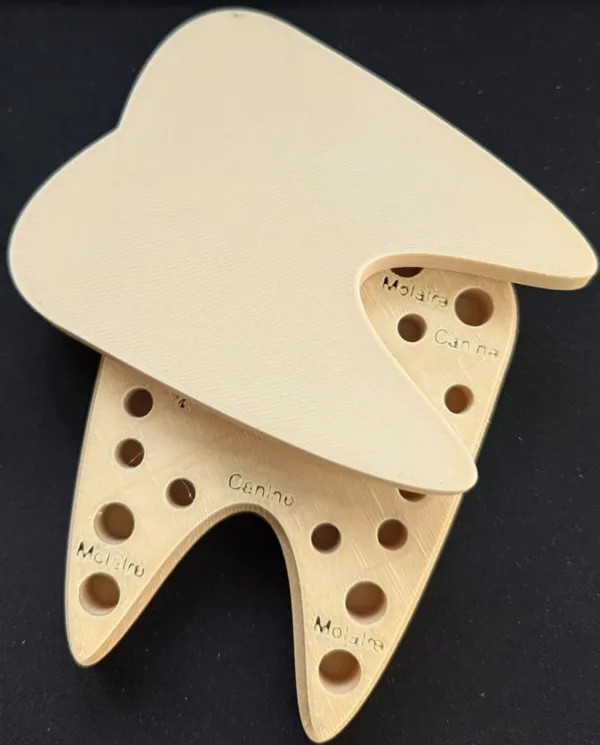 https://makerworld.bblmw.com/makerworld/model/US982e1586b9e5da/design/2024-11-03_92ec6c627b7628.jpeg