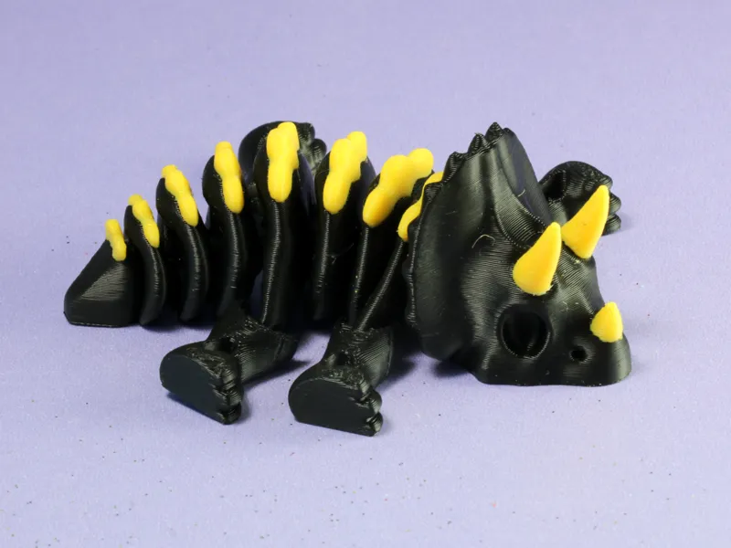 Skeleton Triceratops Dinosaur 
