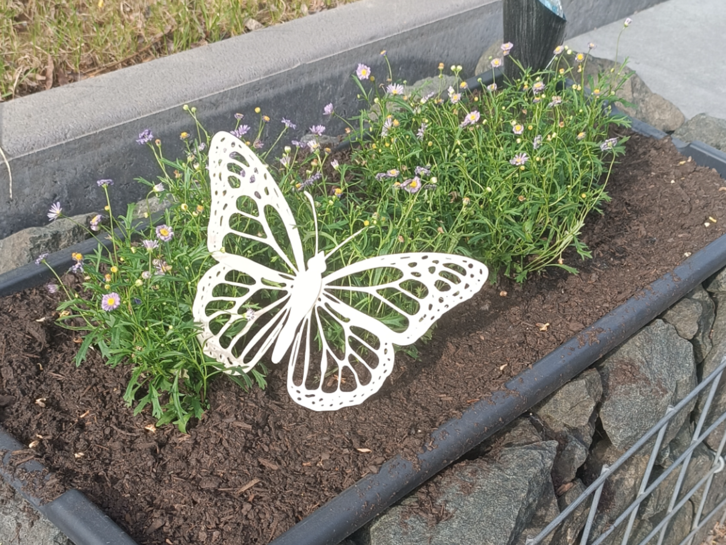 Deko-Schmetterling / Decorative Butterfly