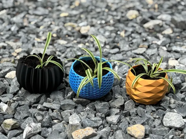 https://makerworld.bblmw.com/makerworld/model/US983048a0eefd92/design/2025-04-25_f93c14c64f9668.jpg