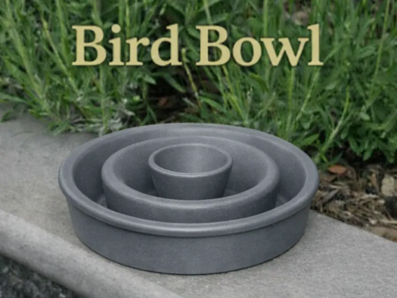 Bird Bowl
