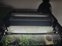 0.2mm layer, 2 walls, 10% infill