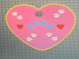 ZARA DOG. TAG