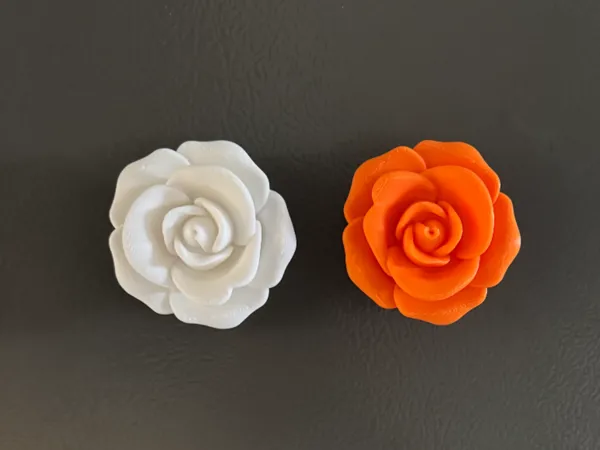 https://makerworld.bblmw.com/makerworld/model/US984def22205037/design/2025-02-02_d39584a184307.jpeg