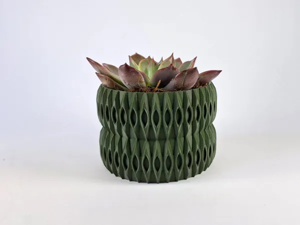 https://makerworld.bblmw.com/makerworld/model/US984fdda99f9a2c/design/2025-01-24_7c1c27bef0d01.jpg