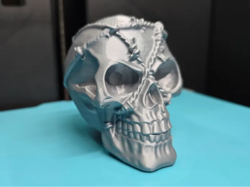 Skull with barbed wire