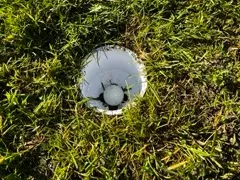 Golf Cup (regulation size)