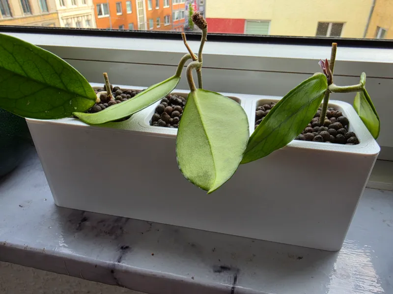 Hydro Square | Triple 7cm (2.8 Inches)