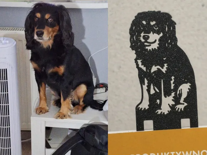BookMark Spaniel
