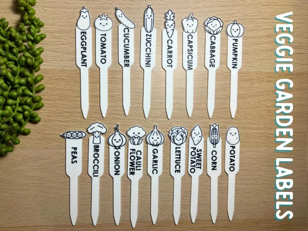 https://makerworld.bblmw.com/makerworld/model/US9857e4060fd51e/design/2025-09-12_b4a01fd72154d8.png