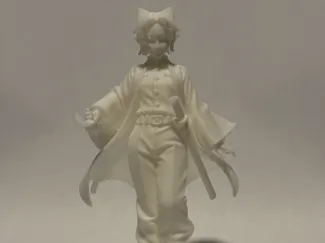 Shinobu Kochō Demon Slayer - Anime