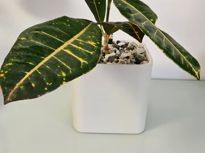 AquaCube 13 – Self-watering Flowerpot