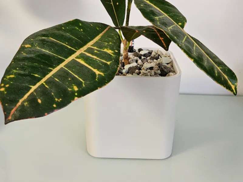 AquaCube 13 – Selbstbewässernder Blumentopf