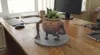 75% size, 63mm height, 0.12mm layer, 2 walls, 15% infill
