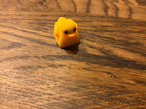 https://makerworld.bblmw.com/makerworld/model/US98619850cd348d/design/2024-11-24_ffc5d6d1440008.png