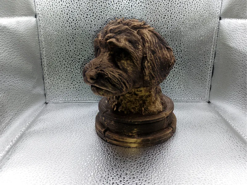 Schnoodle Bust