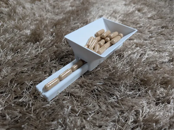 https://makerworld.bblmw.com/makerworld/model/US9865839da5c22c/design/2026-01-03_9d04610554308.jpg