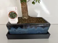 0.12mm layer, 2 walls, 15% infill