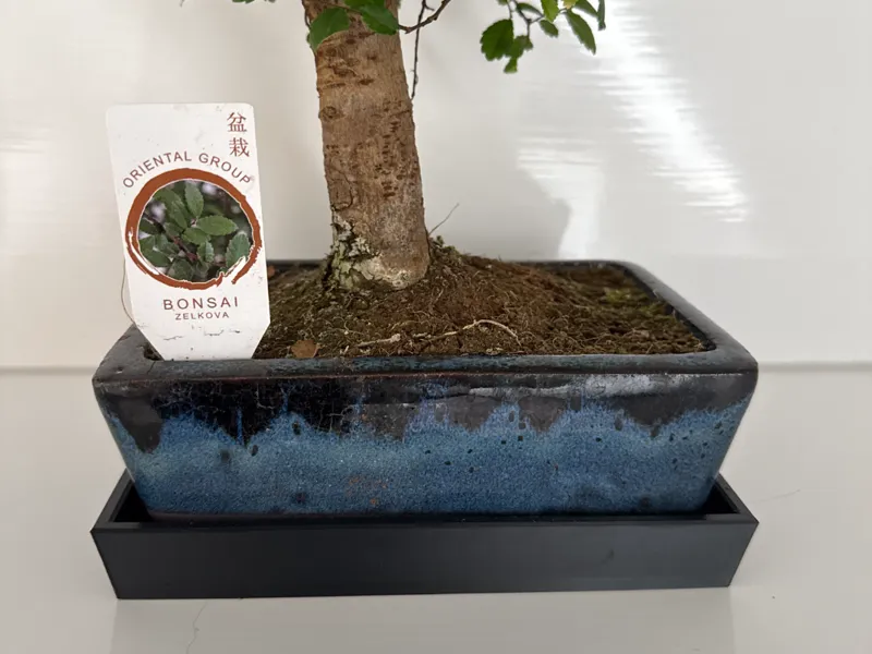 Bonsai-Untertopf – Minimalistisch & Clean