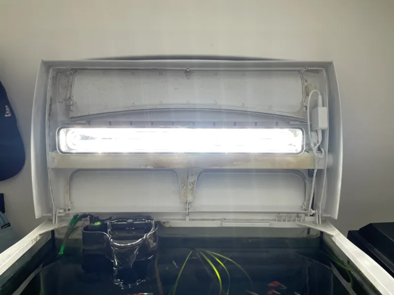 aquarium lamp phillips hue