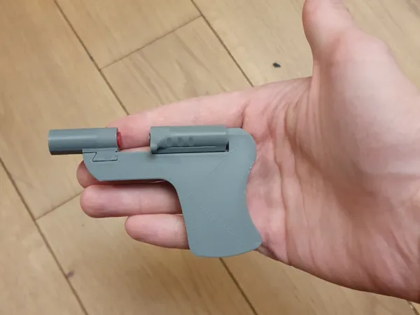 https://makerworld.bblmw.com/makerworld/model/US98744e62c3130e/design/2025-02-27_4f41783283429.jpeg