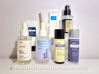 2 shelf toiletries organizer