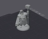 0.2mm layer, 2 walls, 8% infill