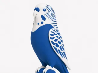 Wellensittich Blau Aufrecht