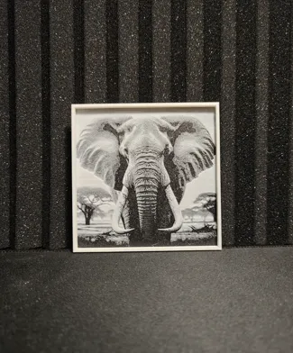 Hueforge Monochrome Elephant 