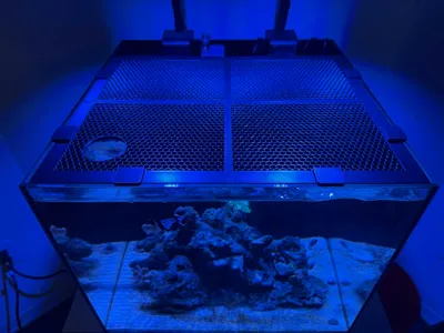 Waterbox 20 CUBE Top Lid