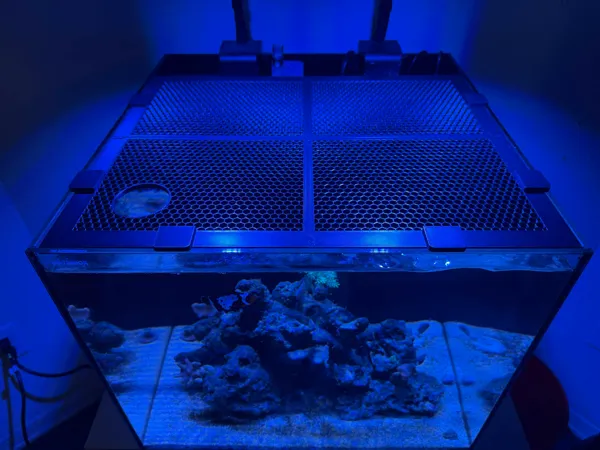 https://makerworld.bblmw.com/makerworld/model/US9883fc5c22f0ab/design/0d4e4801f2229e4a.jpg