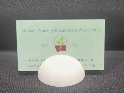 Business card holder 