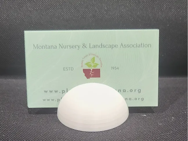 Business card holder 