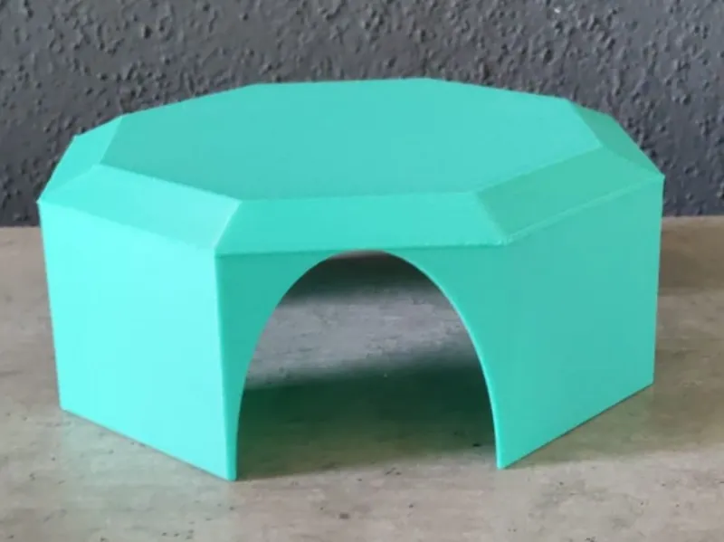 Rat House Mouse Hamster