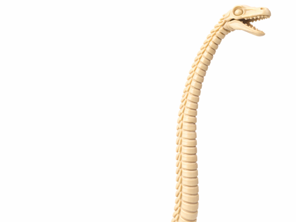 Plesiosaur Skeleton – Long Neck Titan