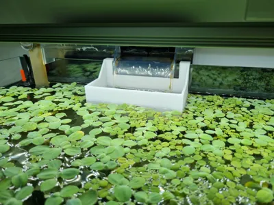 Superfish scaper waterfall enclosure