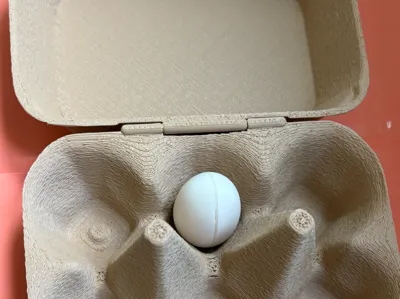 Paperboard-like eggtray with hinge - FINAL