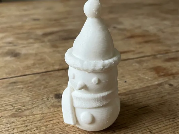 https://makerworld.bblmw.com/makerworld/model/US98a8507fe4745d/design/2025-12-14_7dbfdeb5ab82c.jpg