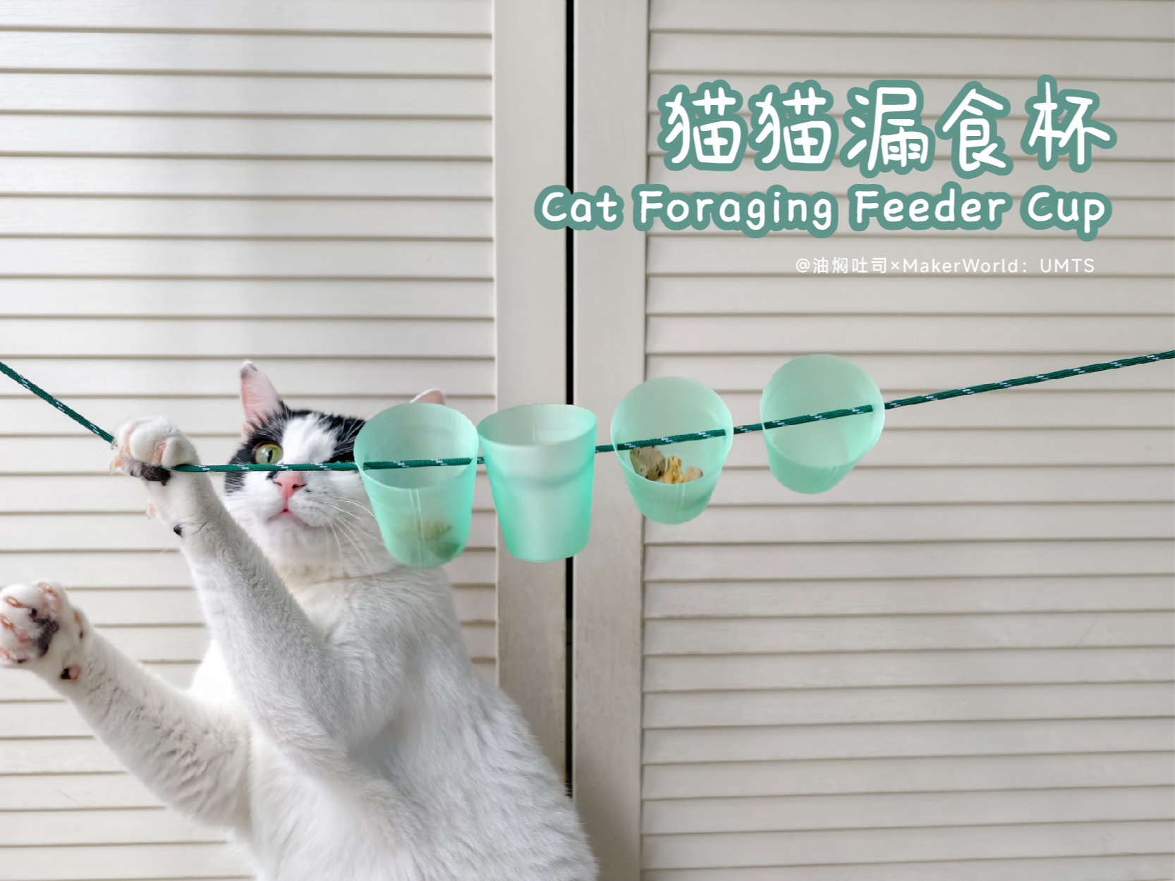 猫猫丰容玩具：漏食杯