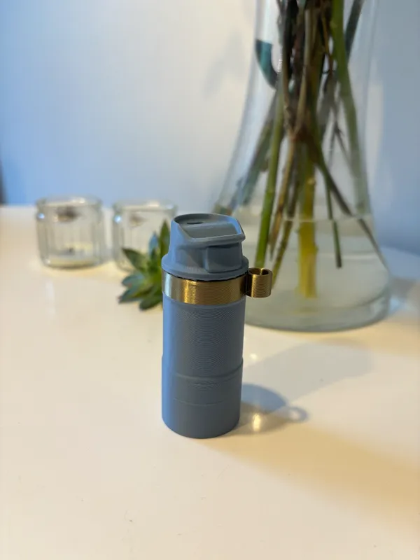 https://makerworld.bblmw.com/makerworld/model/US98aaf2a02cafc7/design/2024-02-24_ad53c640eee57.jpg