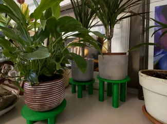 Plant pot riser