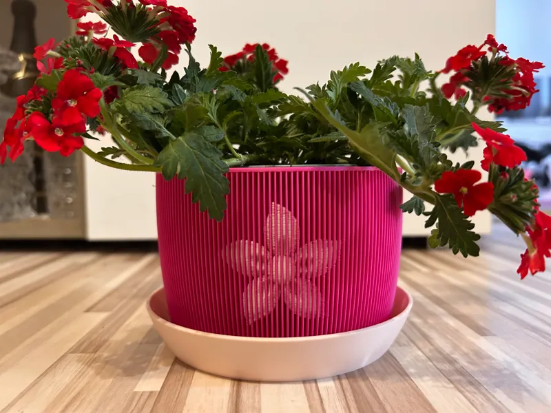 Magenta - planter