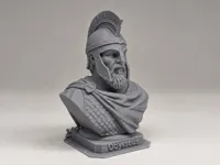 12cm Bust