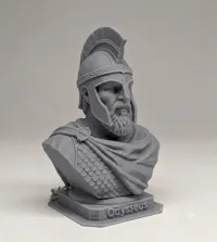 20cm Bust