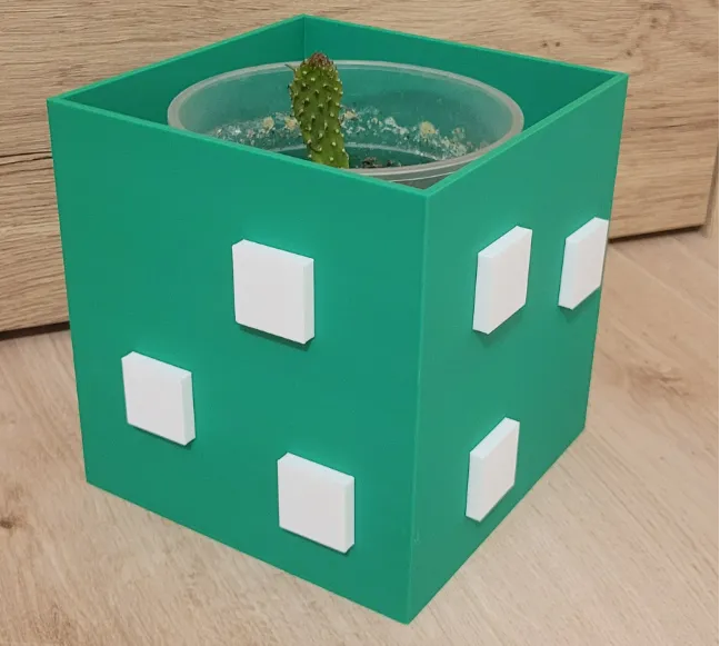 Cactus pot