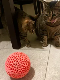 Boule Voronoi distributrice de friandises pour chat — photo 3